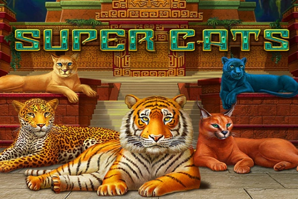 00355 super cats