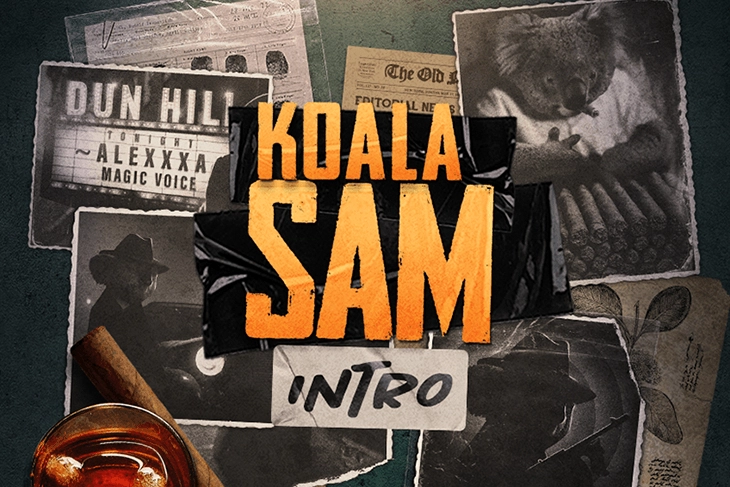 04985 koala sam intro