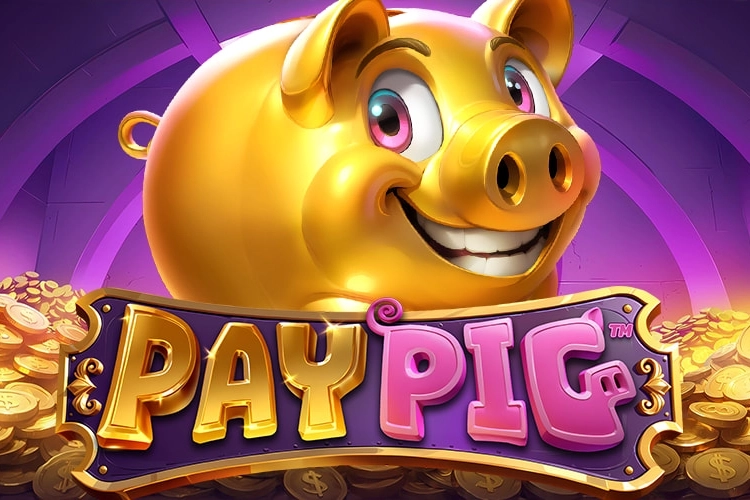 19774 pay pig