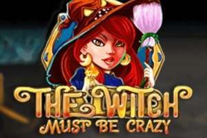 24876 the witch must be crazy